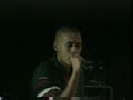 baby rasta en vivo
