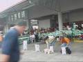 videos de Dogstar Panama, Festival Canino S 99 II Parte
