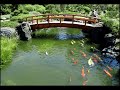 Garden Koi Pond Garden Koi Pond