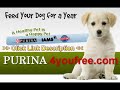 I´m Friend OF Denver Official Guilty! Dog Video (Dog in Trouble)
