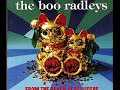 from the bench at belvidere was released in 1995 by the boo radleys.