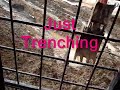 Just Trenching