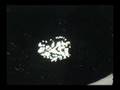 UFO Sighting 08-15-07