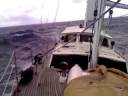 sailing on sundower from port stephens to sydney sailing on sundower from port stephens to sydney