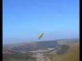 Weasels in Wales