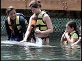 Dolphin Discovery with the girls