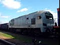 TEM2-282+311D-09 PCC opuszczają stację w Mielcu i kierują się w stronę Dębicy. 8.04.2008