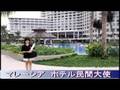 海外ホテル民間大使 　JAL-HAP/TIP Programs by CAPA JPN