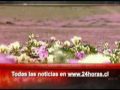 Titulares 24 Horas Al Día 26/07/10