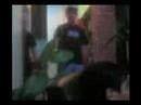 Canelon borracho