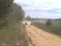 Kenz Cycle Raptor 760r vs FST 715 (KFX 700)