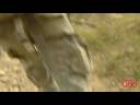 US Army Ambushed by Taliban NEW