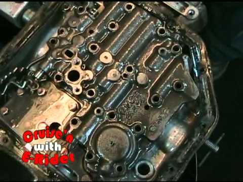 350 warrior 350 warrior