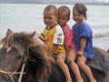 King Country Kids Adventures