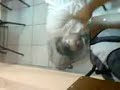 Empanizado (a la Inglesa) Vol. V