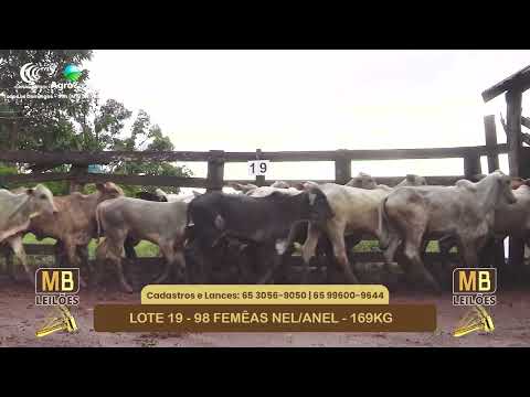 540� LEIL�O VIRTUAL MB LEIL�ES