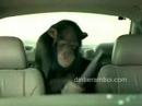 Anti Theft System