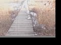 We Disappear