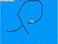 Duck Racing