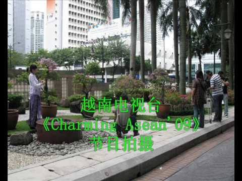 About Katherine Chan 曾凯婷《星路历程》