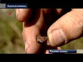 Угроза из космоса. 1 часть. Space Threat.