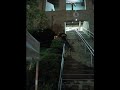 Rail Slide