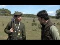 Ver vídeo