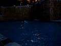 Aspasia Phuket Night Pool Swim