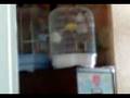 Video birds 5.3gp