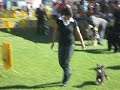 Campeonato Maya