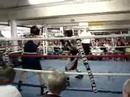Hector and Zack Boxing round 1