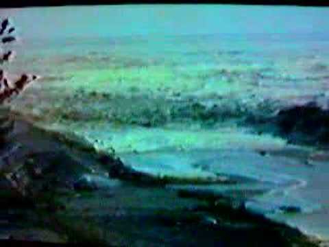日本海中部地震津波tsunami in japan