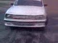 peluchin 504 drift