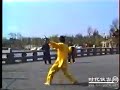 64 Bagua Linking Deerhorn