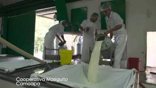 Baja de leche afecta a productores de Camoapa