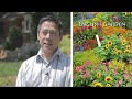 testimonial video