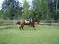 Lakota Bucking-