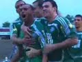 Gol de Denilson - Palmeiras x São Paulo 2008