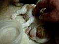 videos de MOV01458.MPG