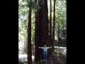 Stanford: Living Californication