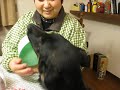 ひつこくおねだり
