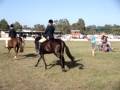 Muswellbrook Show 27 28 March 2009.