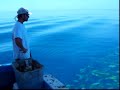 www.FreshChoiceSeafood.com presents a day of yellowtail fishing out of Key West, FL. Fresh Choice Seafood provides it's customers with the best quality stone crab lobster conch and wide variety of fresh fish domestically caught in the Florida Keys.