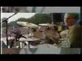 Green day basket case @ woodstock 94