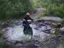 Alima�a Crash