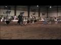 2008 NSPE Antigonish North vs. Heatherton Tug of War