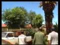 MexicanTreeRemovalSvc.wmv