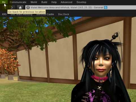 Second Life Screenshot 0