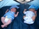 Grubbing babies