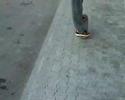 tbg sk8 (one) tbg sk8 (one)
